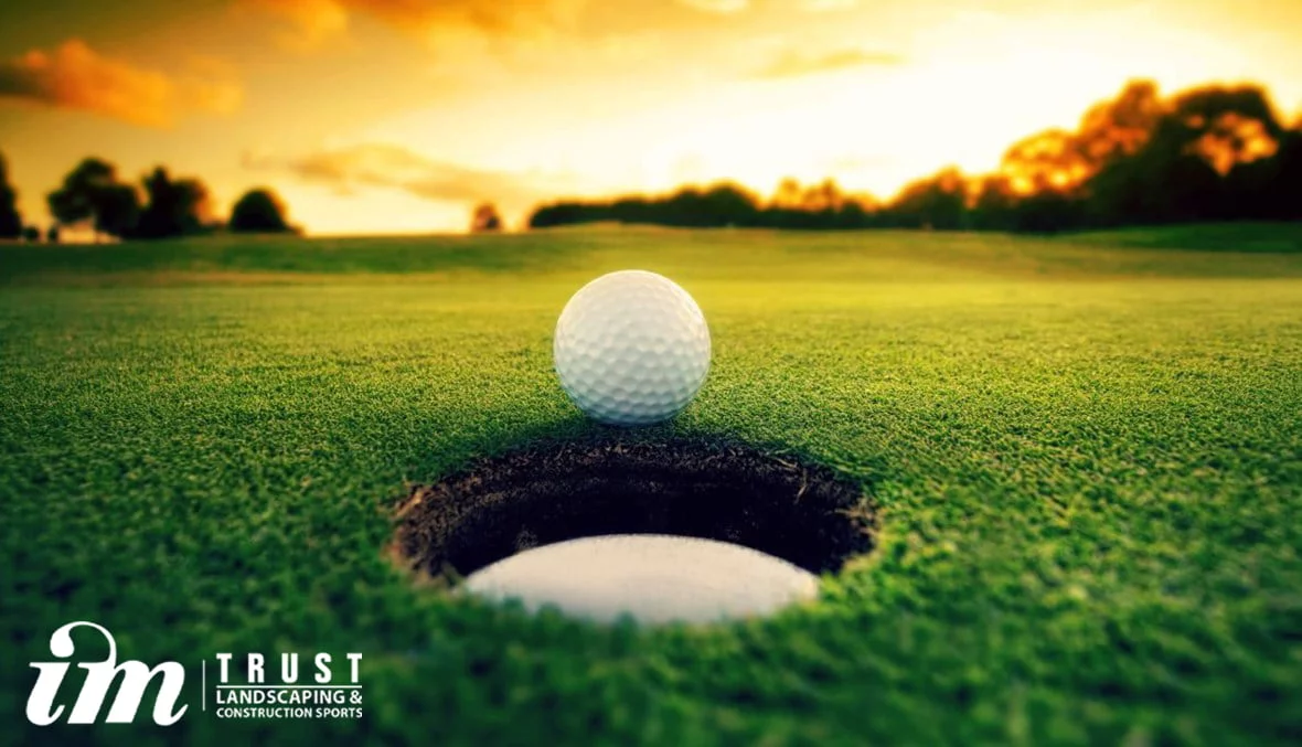 34803Image1 1180x677 d1