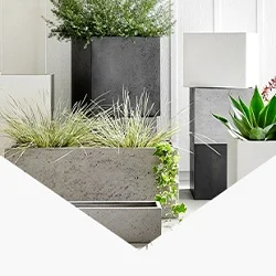 الزرع فى منتجاتنا 1