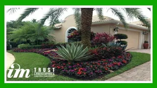 نباتات زينة وزهور ونخيل 1