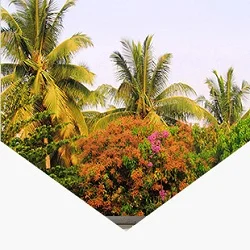 اي ام تراست زينة وزهور ونخيل فى منتجاتنا 1