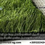 اكتشف أفضل سعر النجيل الصناعي في مصر مع IM Trust! جودة عالمية لملاعبك وحدائقك. حلول متكاملة بتكلفة لا تُقارن. تواصل الآن لتجربة خضراء دائمة!