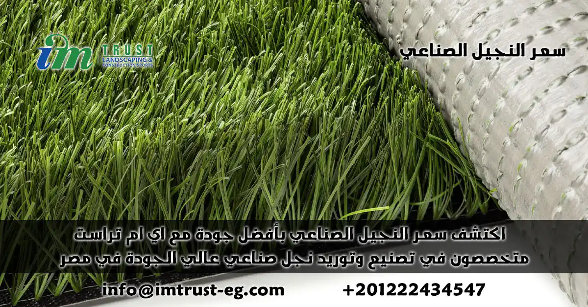 اكتشف أفضل سعر النجيل الصناعي في مصر مع IM Trust! جودة عالمية لملاعبك وحدائقك. حلول متكاملة بتكلفة لا تُقارن. تواصل الآن لتجربة خضراء دائمة!