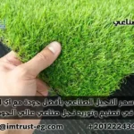 اكتشف أفضل سعر النجيل الصناعي في مصر مع IM Trust! جودة عالمية لملاعبك وحدائقك. حلول متكاملة بتكلفة لا تُقارن. تواصل الآن لتجربة خضراء دائمة!