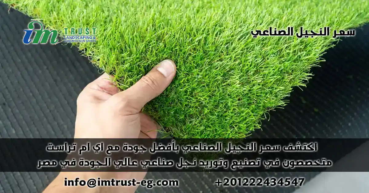 اكتشف أفضل سعر النجيل الصناعي في مصر مع IM Trust! جودة عالمية لملاعبك وحدائقك. حلول متكاملة بتكلفة لا تُقارن. تواصل الآن لتجربة خضراء دائمة!