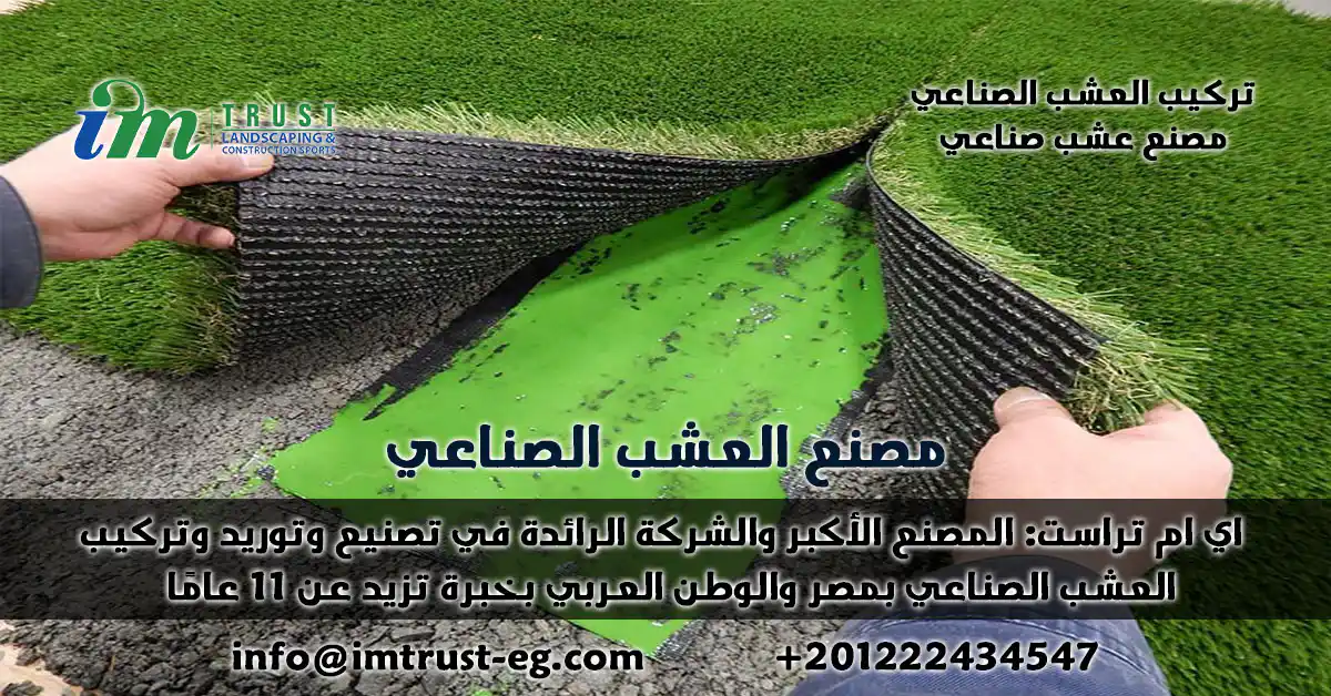 اي ام تراست: المصنع الأكبر والشركة الرائدة في تصنيع وتوريد وتركيب العشب الصناعي بمصر والوطن العربي بخبرة تزيد عن 11 عامًا